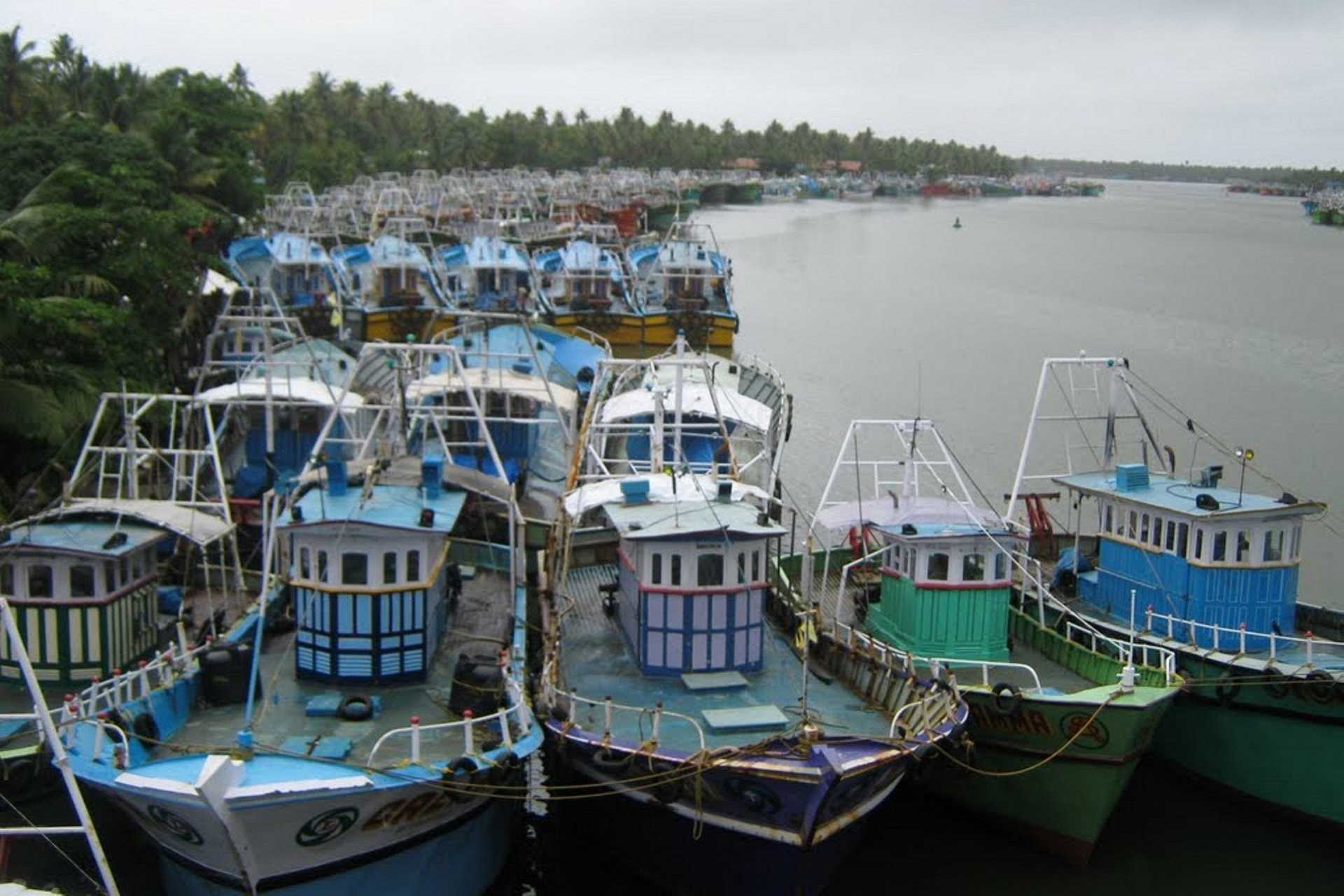 Chinese Fishing Nets