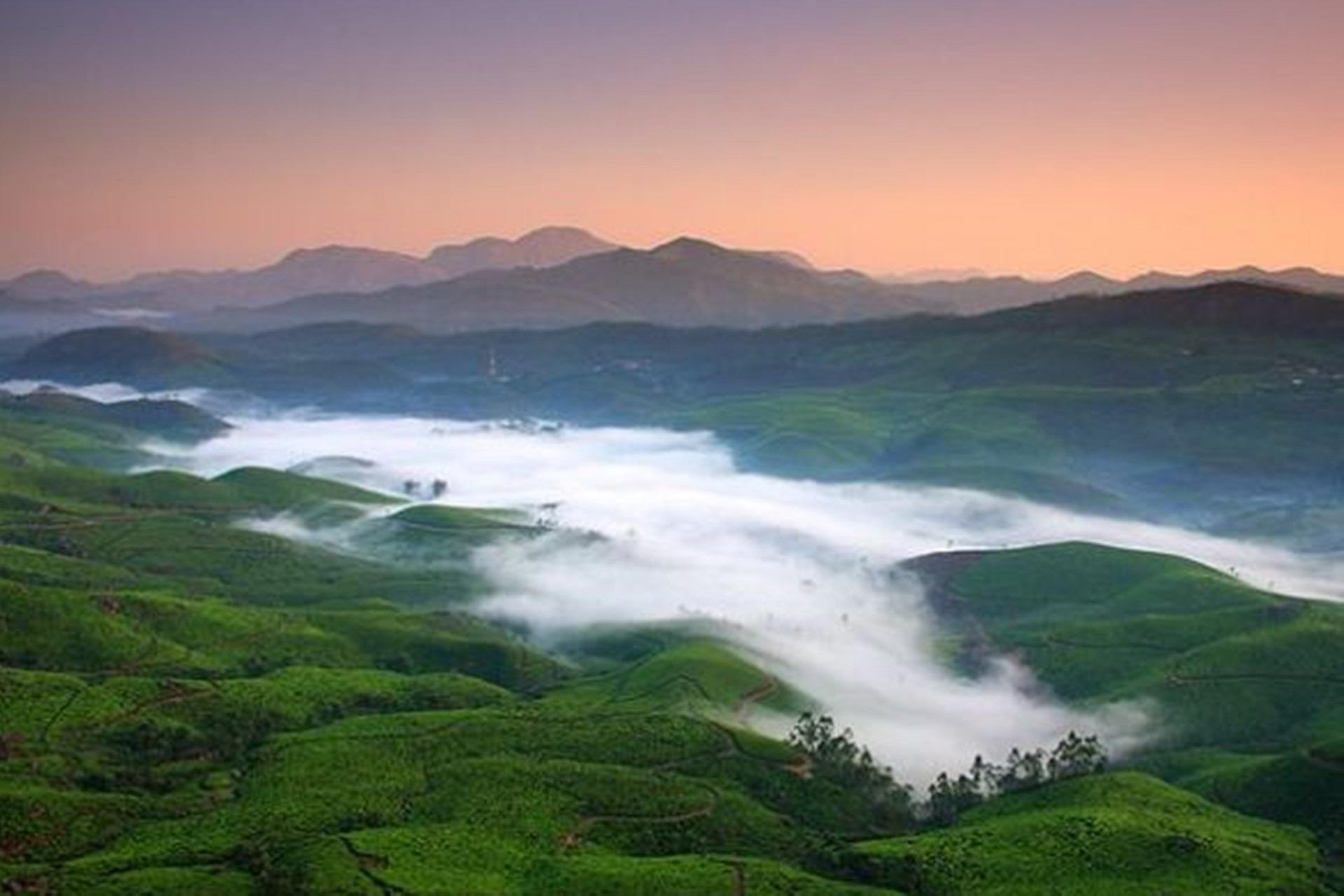 Munnar Tour