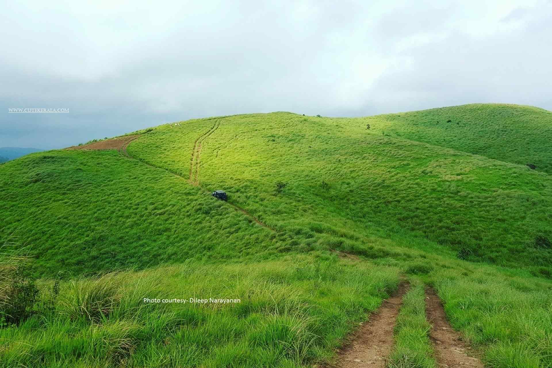 Vagamon Meadows- Mottakunnu