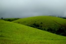 Vagamon is one of the best tourist place in Kerala