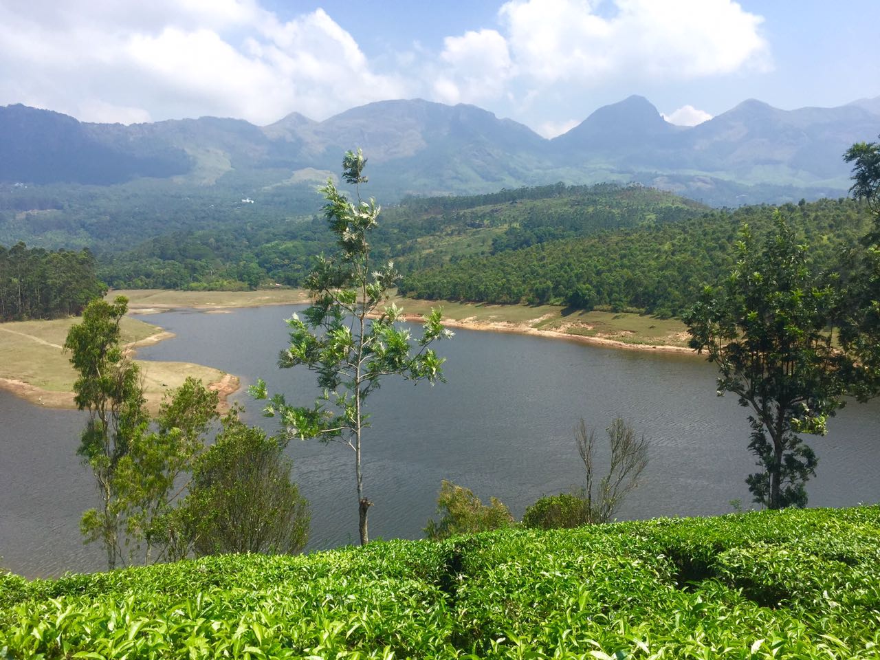 a dam near Munnar surrounded by tea gardens
