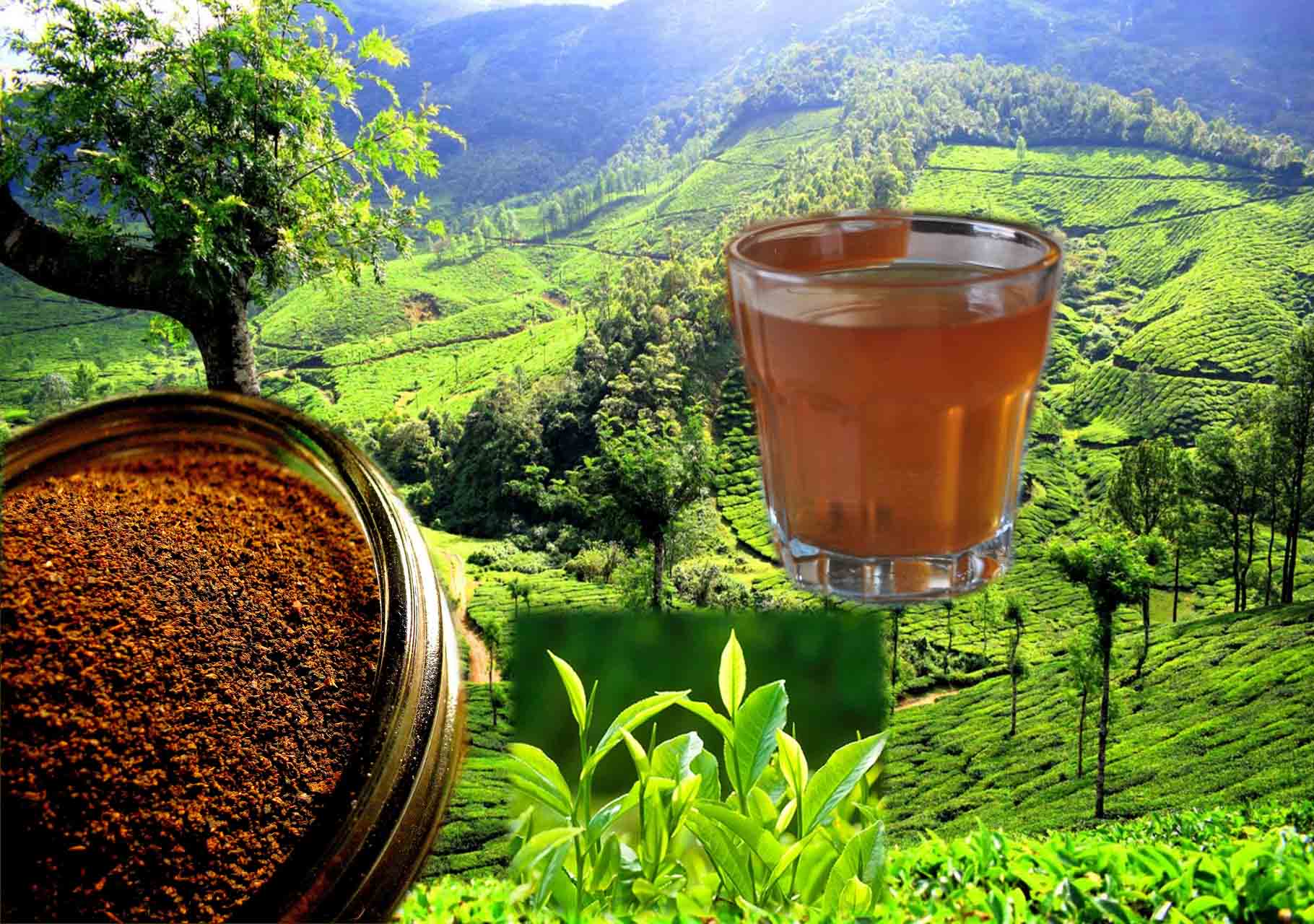 Kerala dust tea premium